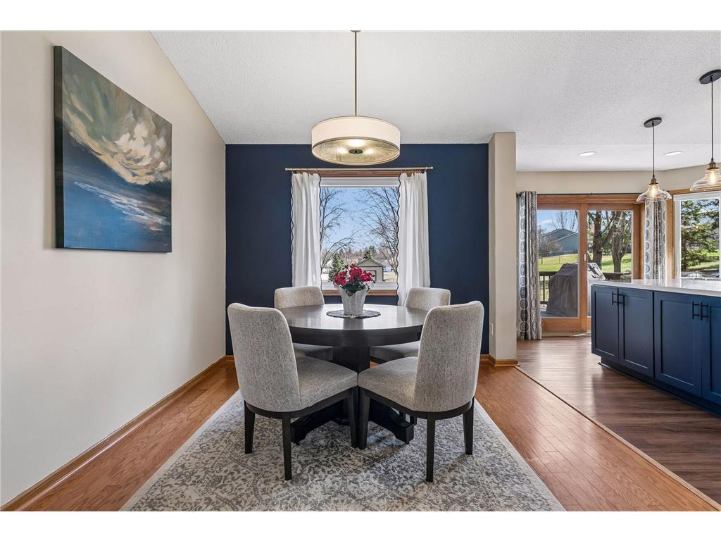 13964 Dander Court Rosemount MN 55068 7045196 image7