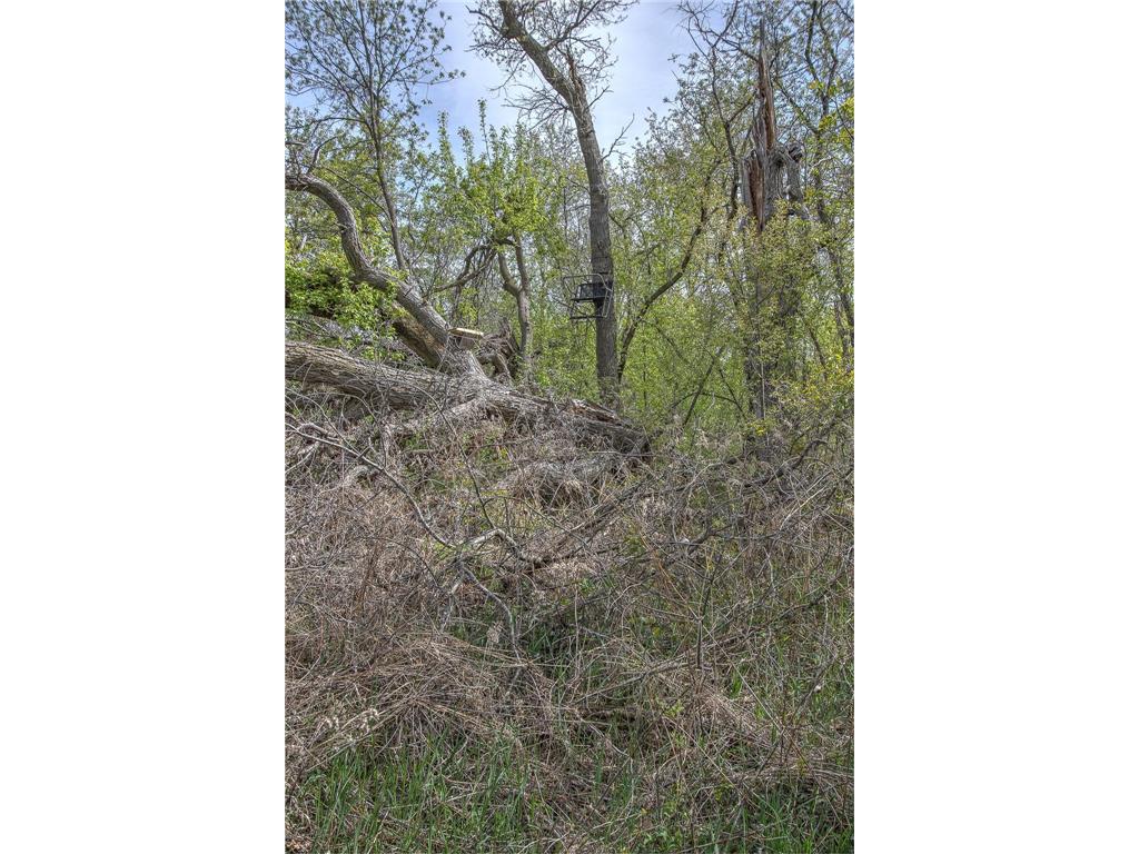 1397 309th Avenue NW Cambridge MN 55008 7048345 image26