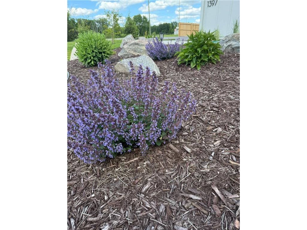 1397 Burroughs Road Detroit Lakes MN 56501 7099746 image39