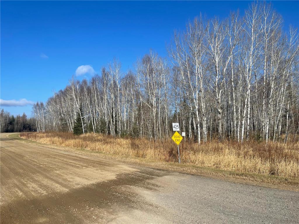 13994 County Road 425 Wawina Twp MN 55736 6824866 image1