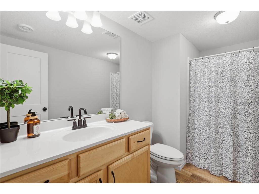 13995 Abbeyfield Avenue Rosemount MN 55068 7087638 image31