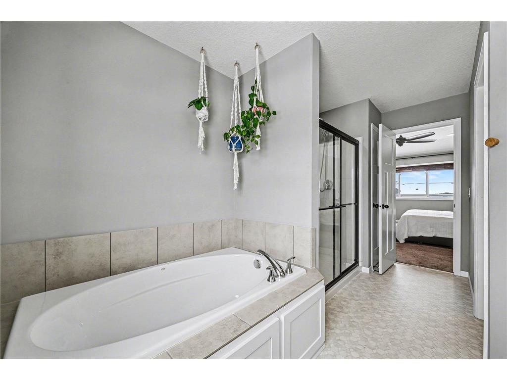 13998 Abbeyfield Avenue Rosemount MN 55068 7039183 image23