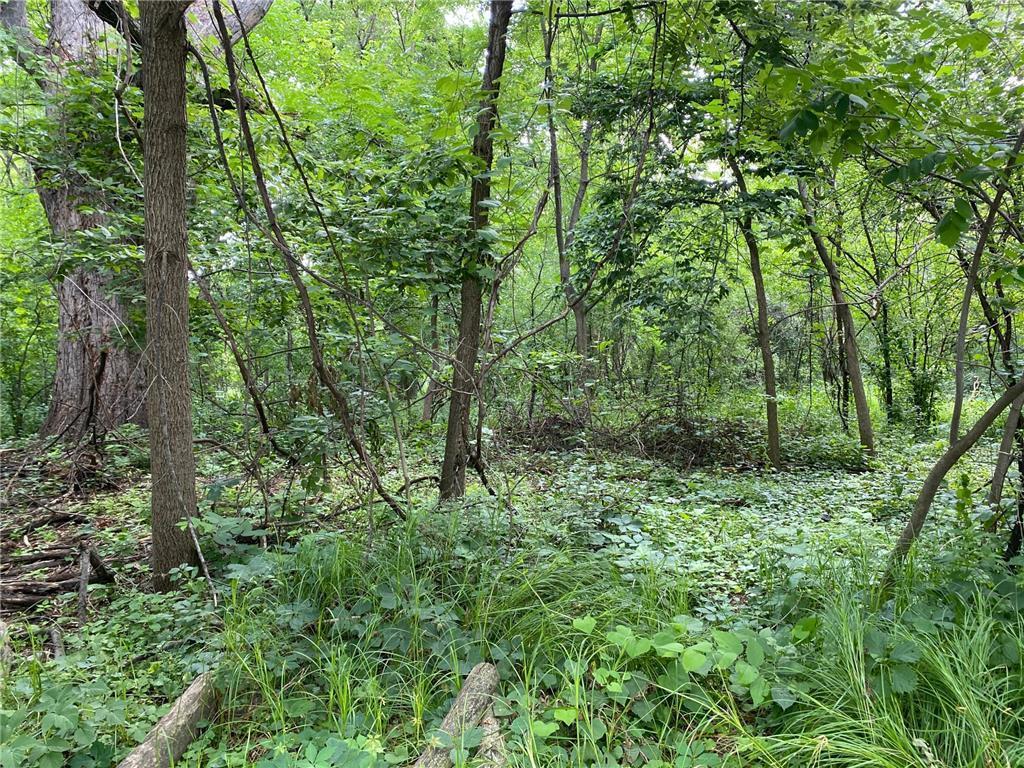 13XX 3rd Street Saint Paul Park MN 55071 6810118 image2