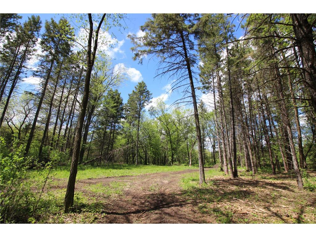 13XXX County Road 7 South Haven MN 55382 6532984 image1