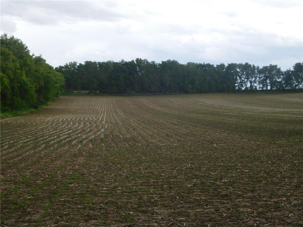 13xxx 80th Street S Denmark Twp MN 55033 6548929 image1