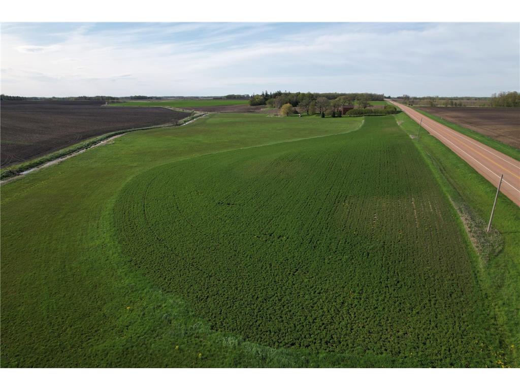 13xxx County Road 31 Young America Twp MN 55339 7033403 image2