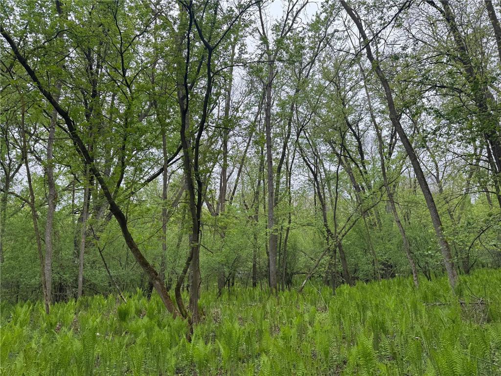 138xx Hwy 23 Milaca MN 56353 - Rum River - West Branch 7076123 image12