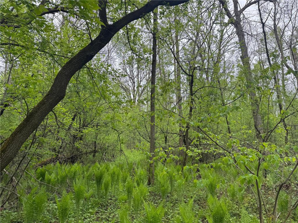 138xx Hwy 23 Milaca MN 56353 - Rum River - West Branch 7076123 image13