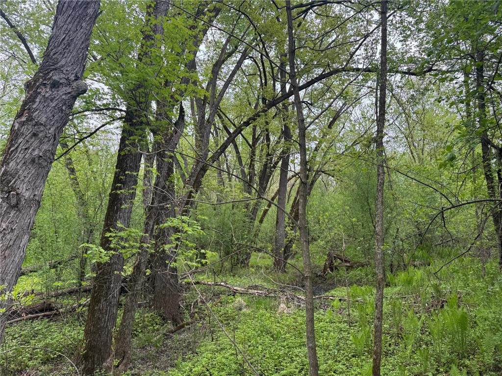 138xx Hwy 23 Milaca MN 56353 - Rum River - West Branch 7076123 image14