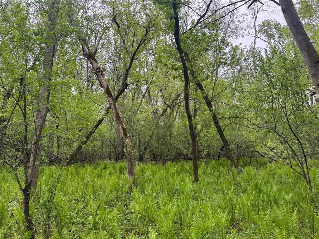 138xx Hwy 23 Milaca MN 56353 - Rum River - West Branch 7076123 image15