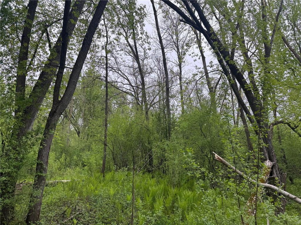 138xx Hwy 23 Milaca MN 56353 - Rum River - West Branch 7076123 image18