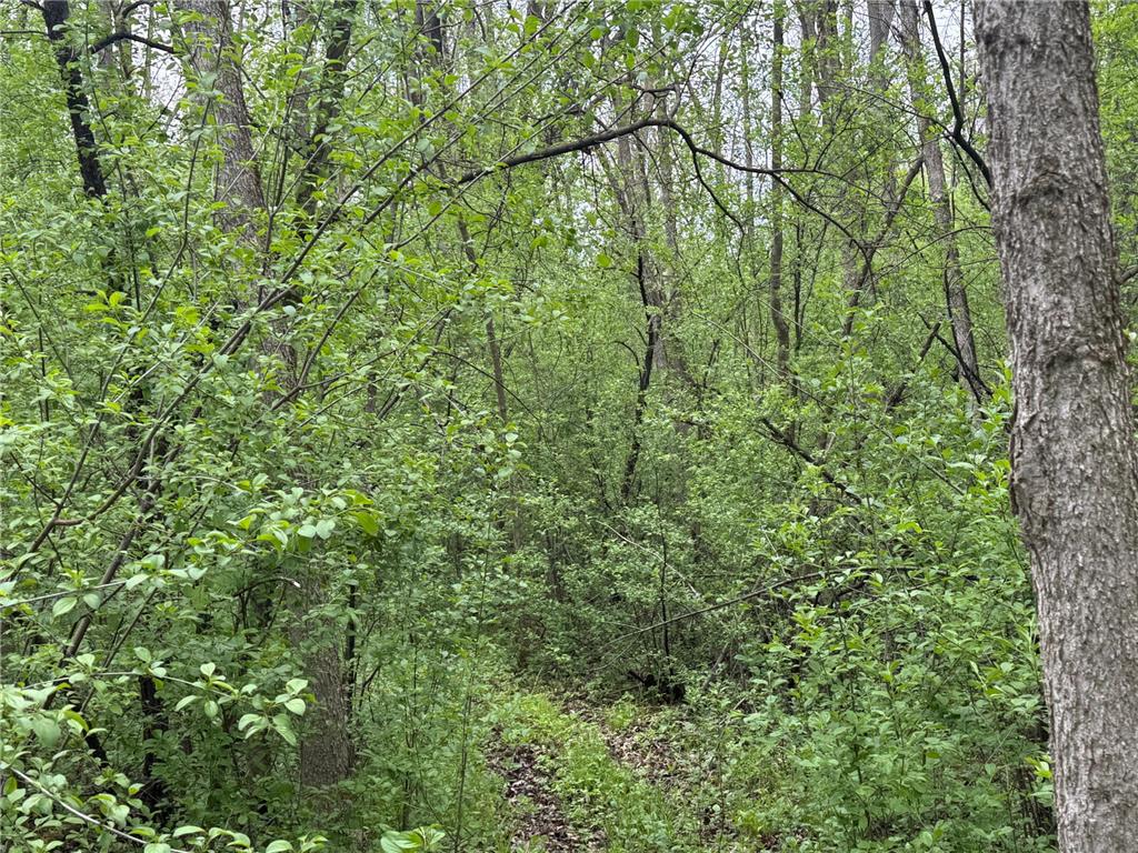 138xx Hwy 23 Milaca MN 56353 - Rum River - West Branch 7076123 image19