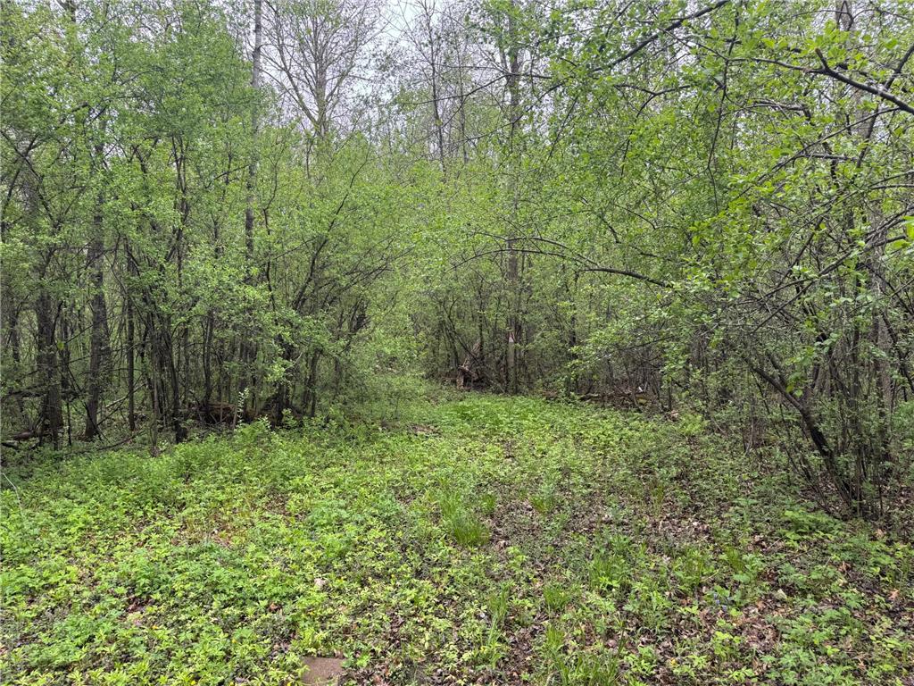 138xx Hwy 23 Milaca MN 56353 - Rum River - West Branch 7076123 image2