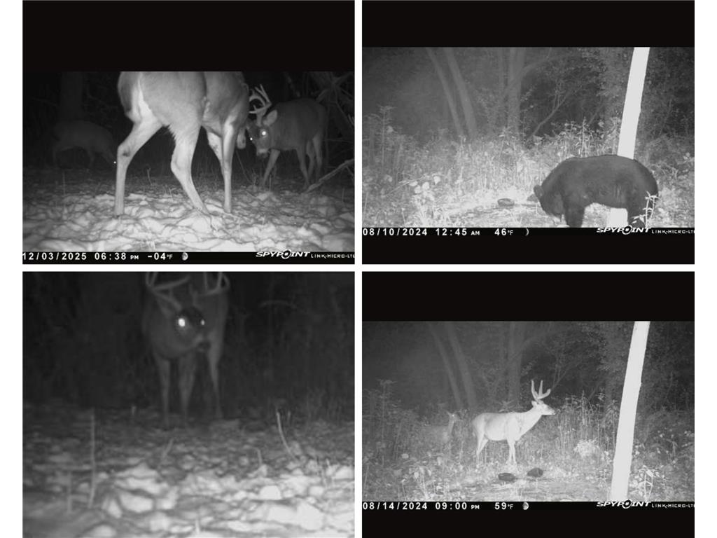 138xx Hwy 23 Milaca MN 56353 - Rum River - West Branch 7076123 image28