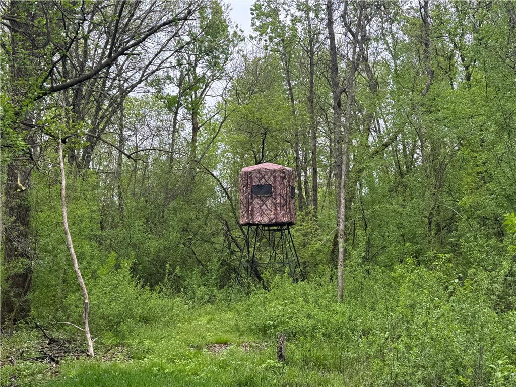 138xx Hwy 23 Milaca MN 56353 - Rum River - West Branch 7076123 image3