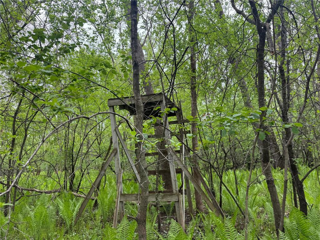 138xx Hwy 23 Milaca MN 56353 - Rum River - West Branch 7076123 image4