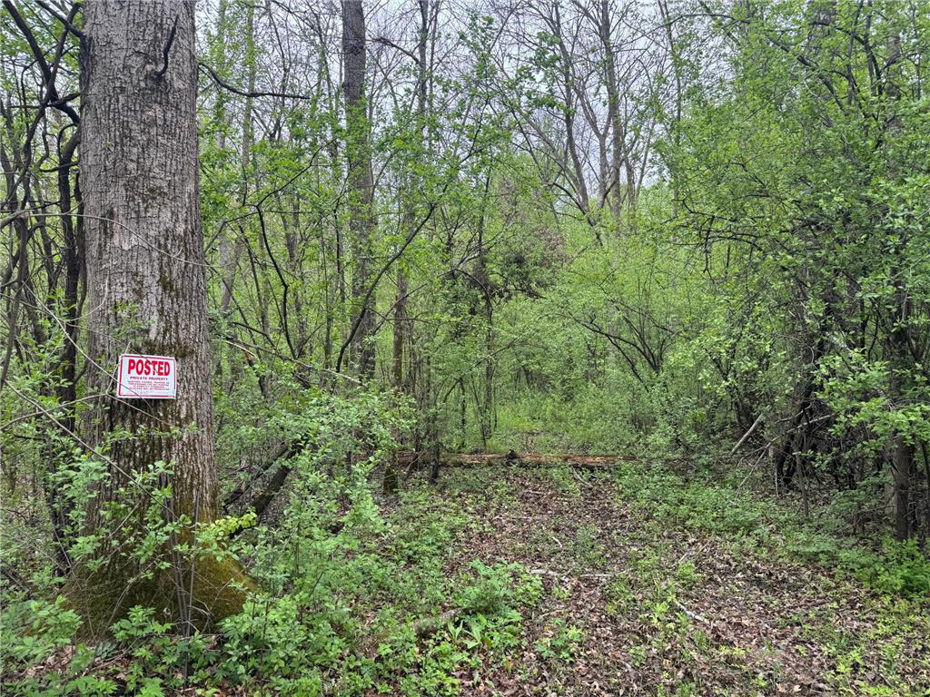 138xx Hwy 23 Milaca MN 56353 - Rum River - West Branch 7076123 image6