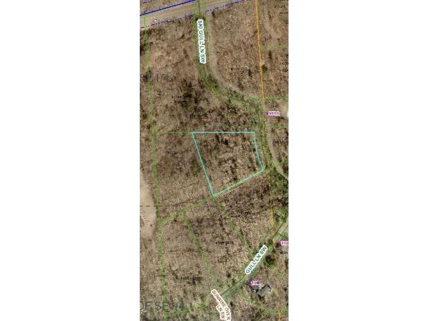 TBD Ski Gull Lane SW Nisswa MN 56468 6159546 image1