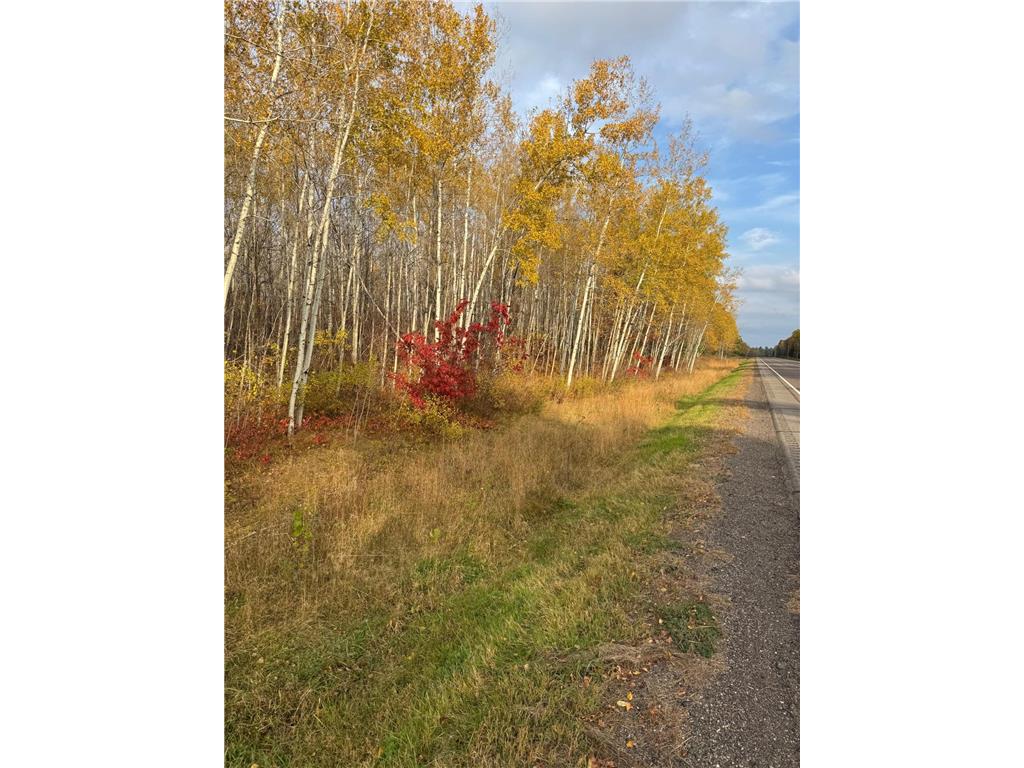 14 Acres State Highway 200 Jacobson MN 55752 6811727 image4