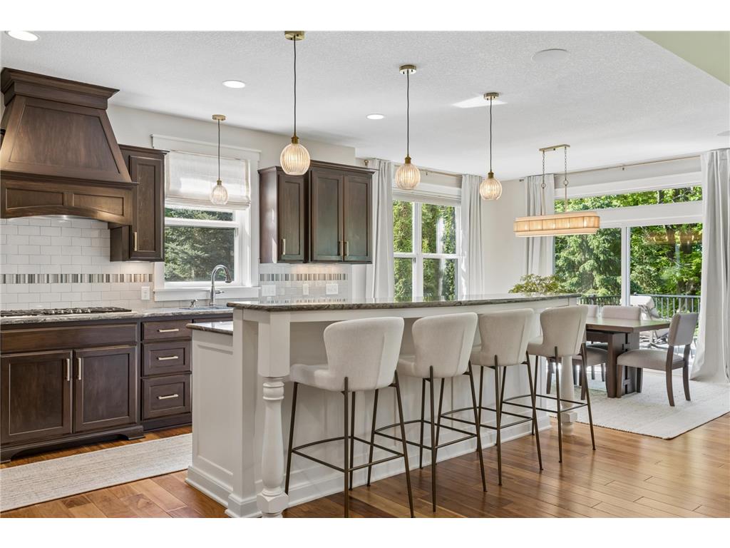 14 Beebe Avenue Mendota Heights MN 55118 7043148 image14