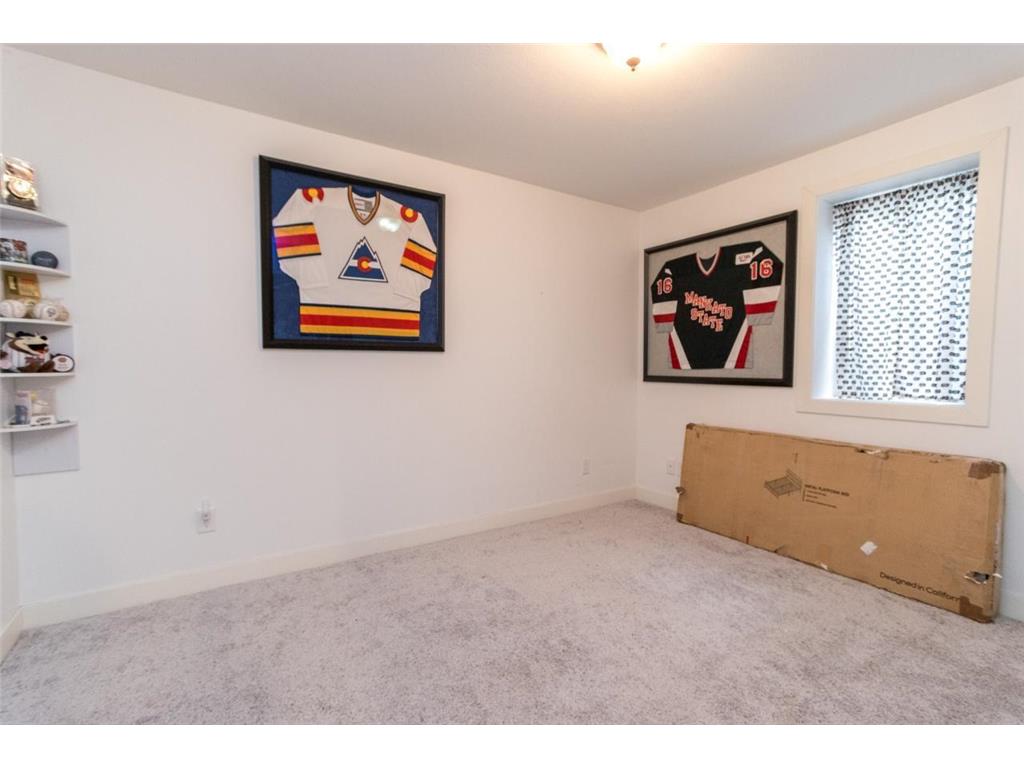 14 Eagle Ridge Court North Mankato MN 56003 6785897 image44