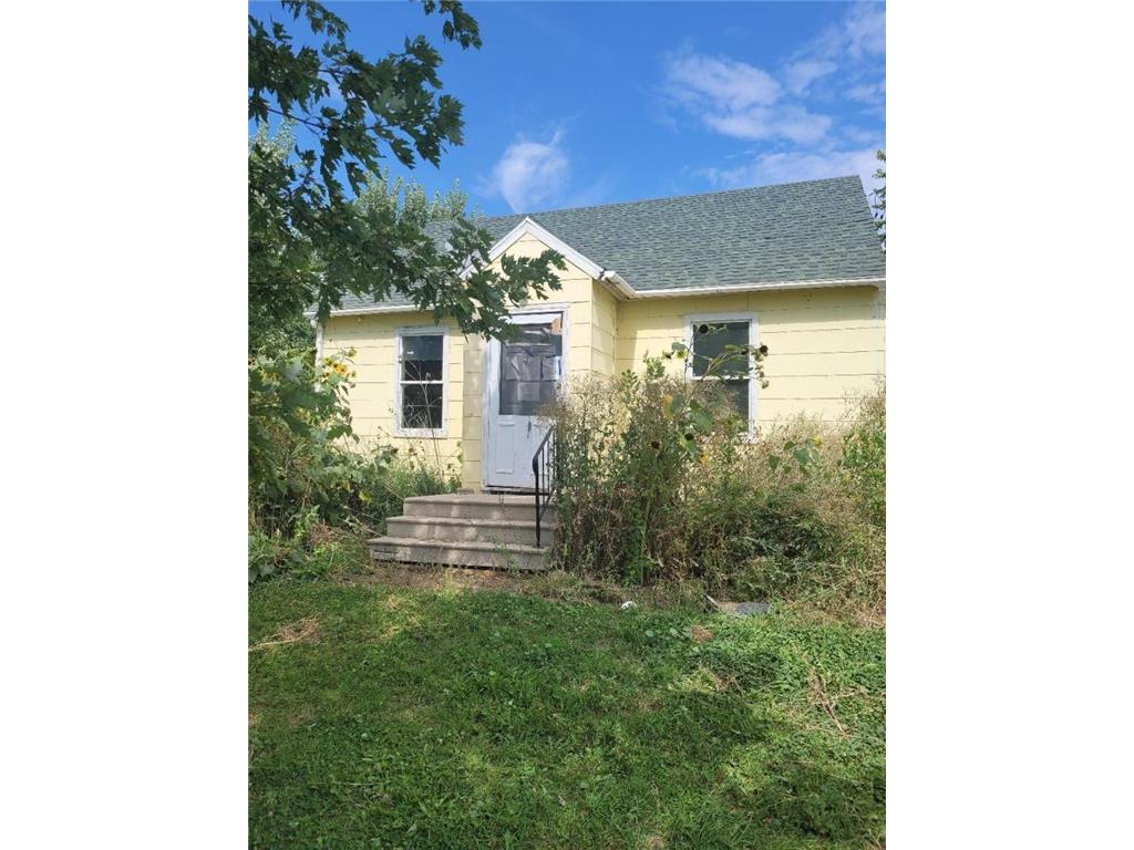 140 2nd Street, Cobden, MN, 56085 MLS 6427829 Edina Realty