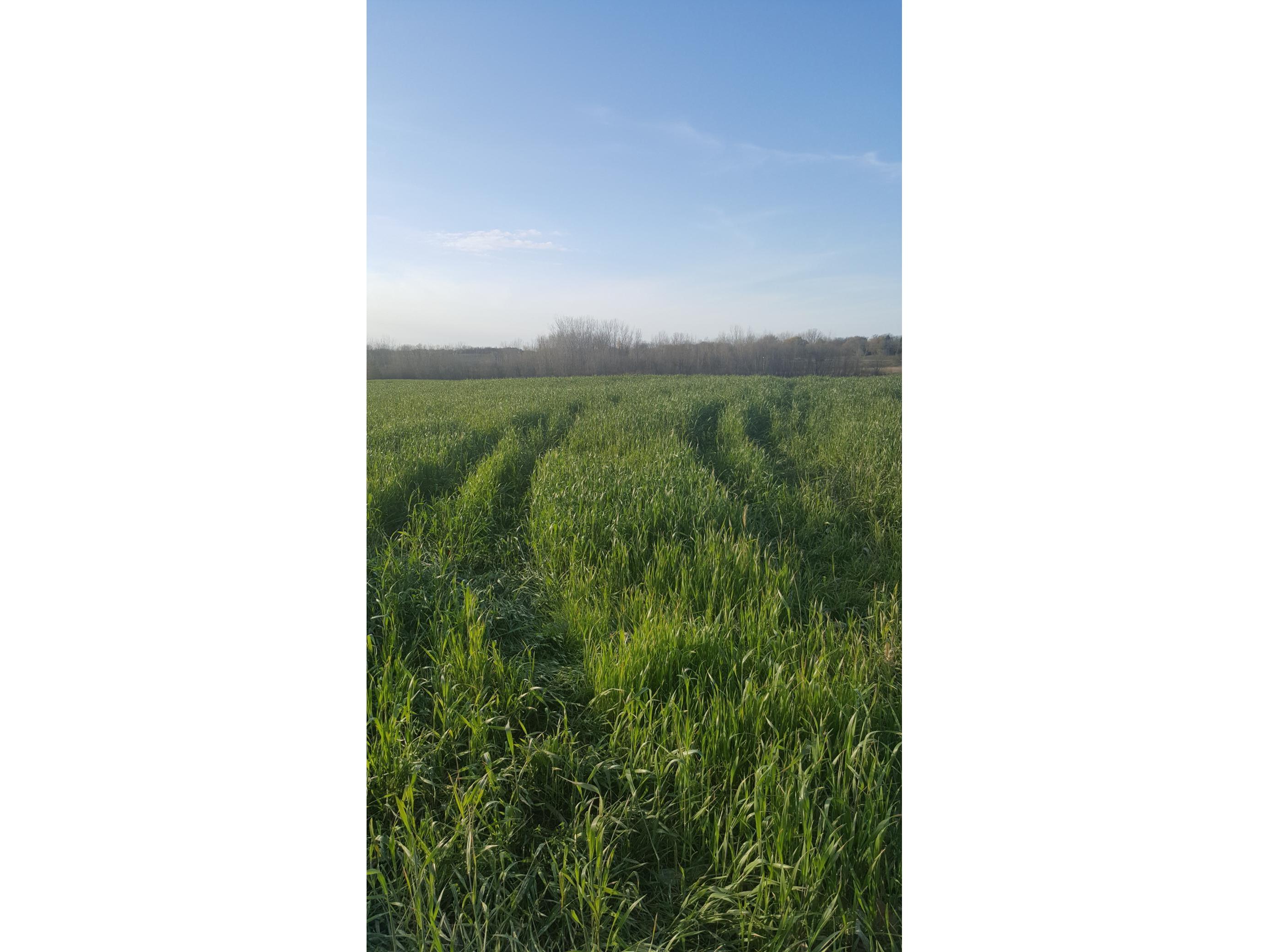 1400 Co Rd 5 Willmar MN 56201 6125801 image1