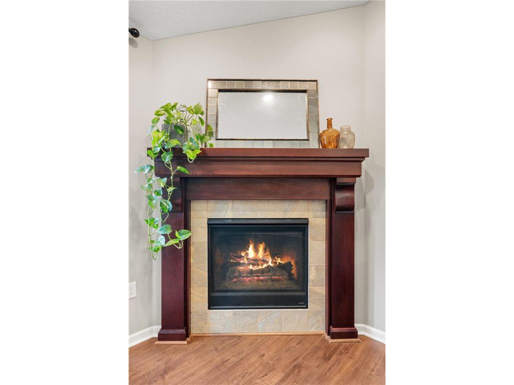14004 Adrian Court Rosemount MN 55068 7082026 image16