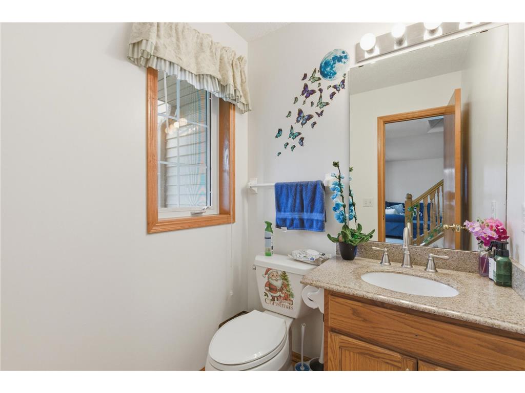 14006 Cobbler Avenue Rosemount MN 55068 7077176 image13