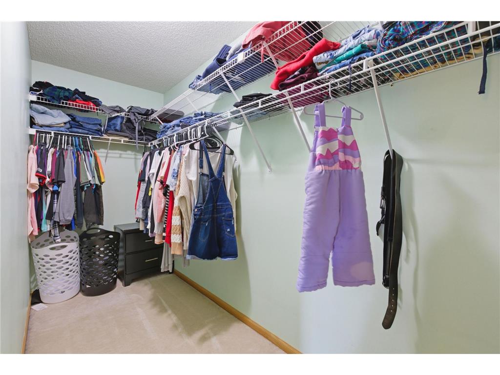 14006 Cobbler Avenue Rosemount MN 55068 7077176 image18