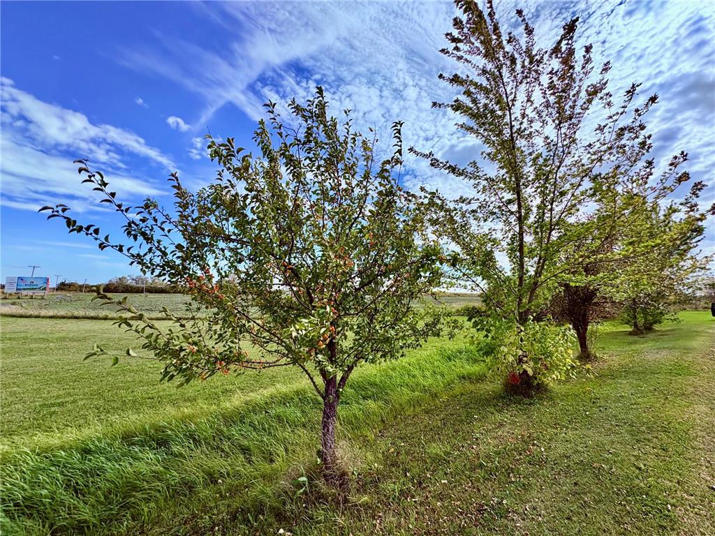 1401 State Highway 11 SW Spooner Twp MN 56623 6798137 image11