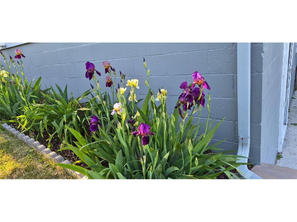 1402 Marie Avenue Albert Lea MN 56007 7103204 image31