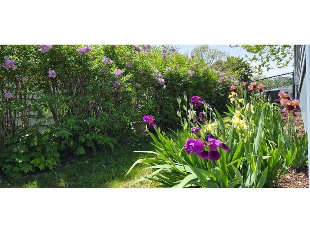 1402 Marie Avenue Albert Lea MN 56007 7103204 image32