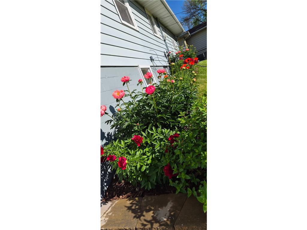 1402 Marie Avenue Albert Lea MN 56007 7103204 image36