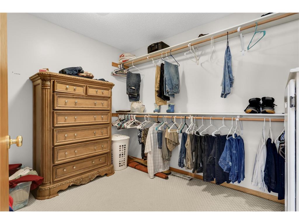 14028 Furlong Trail Nininger Twp MN 55033 7019383 image22