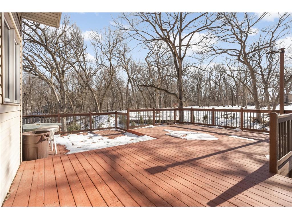 14028 Furlong Trail Nininger Twp MN 55033 7019383 image31