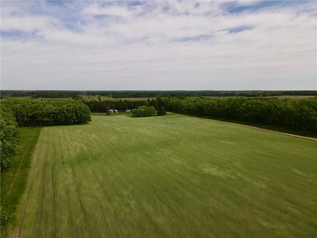 14034 Knob Hill Road Wadena Twp MN 56482 7085594 image5