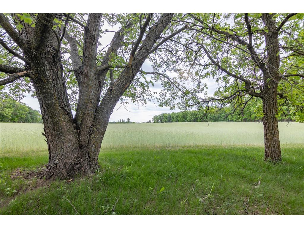 14034 Knob Hill Road Wadena Twp MN 56482 7085594 image72