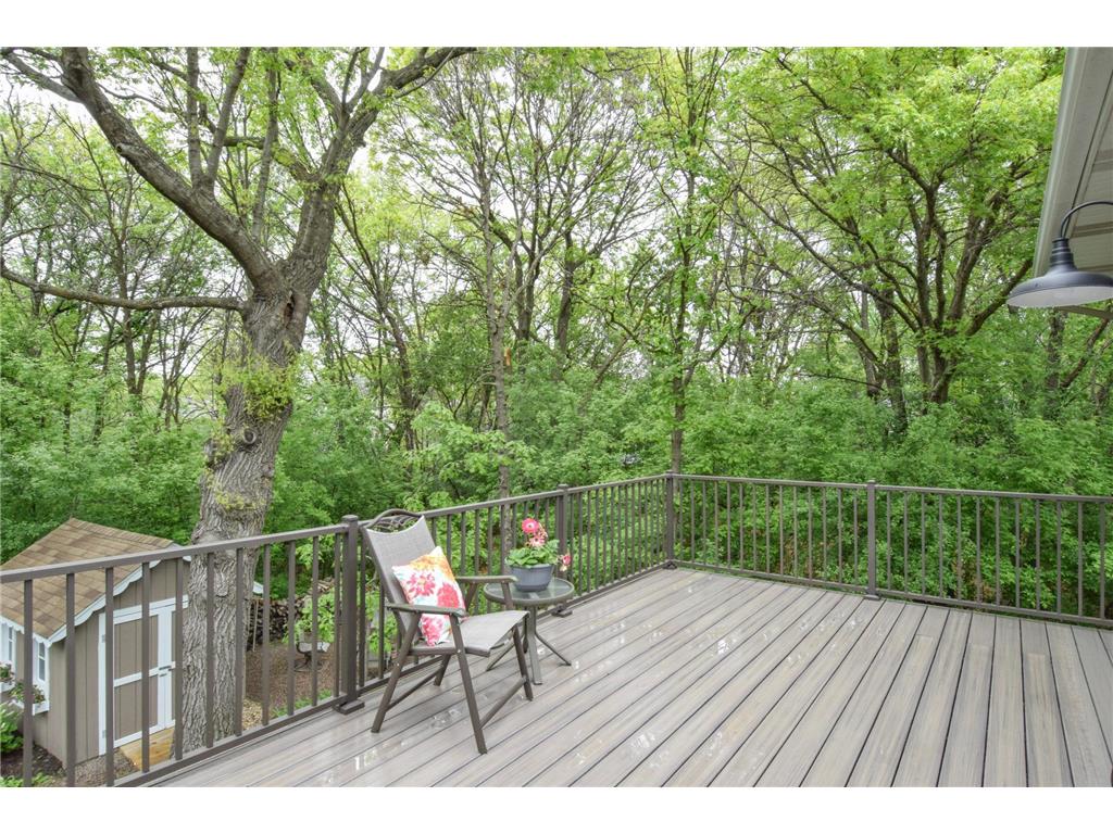 14034 Palm Street NW Andover MN 55304 7078831 image16