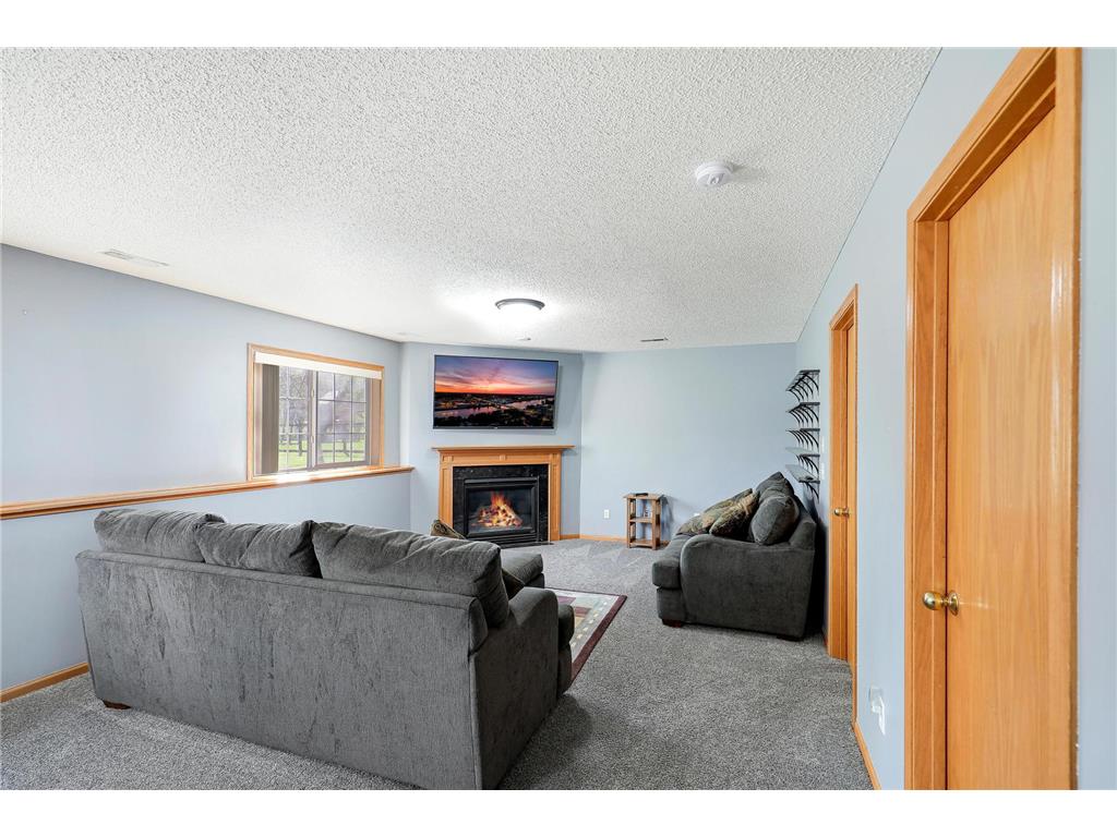 14036 Orchid Avenue Rogers MN 55374 6816434 image23