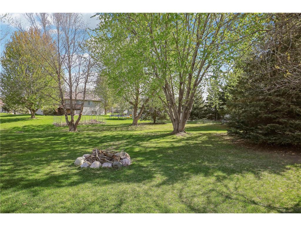 14036 Orchid Avenue Rogers MN 55374 6816434 image31