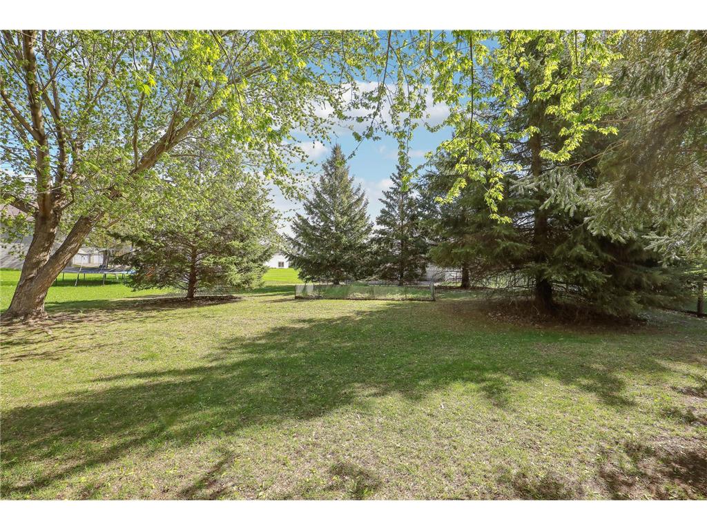14036 Orchid Avenue Rogers MN 55374 6816434 image32