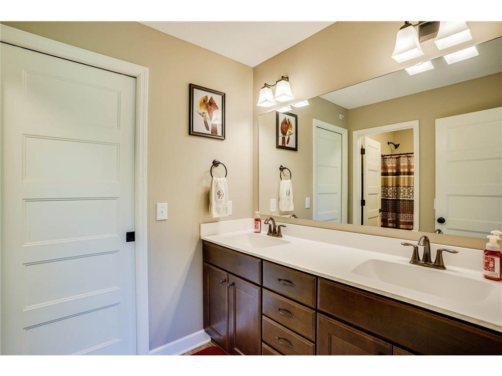 14046 Burgundy Avenue #9003 Rosemount MN 55068 7060118 image21