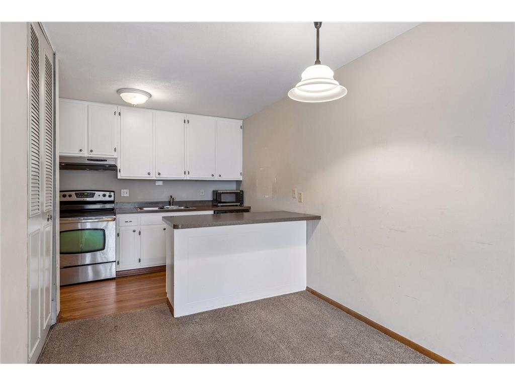 1405 E 40th Street #18F Minneapolis MN 55407 7054325 image10