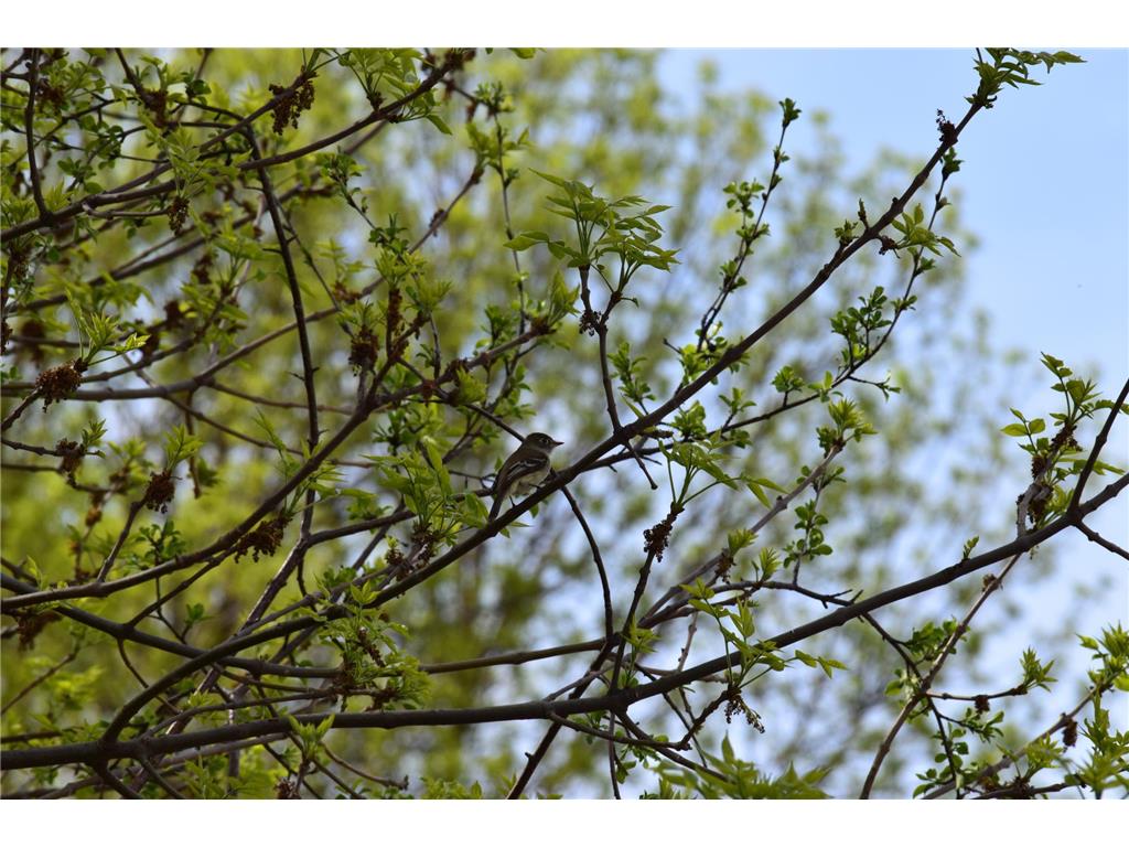 1405 Hamel Road Medina MN 55340 7013947 image5