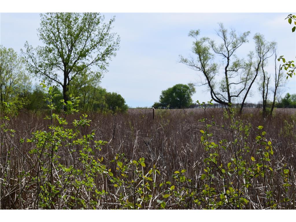 1405 Hamel Road Medina MN 55340 7013947 image6