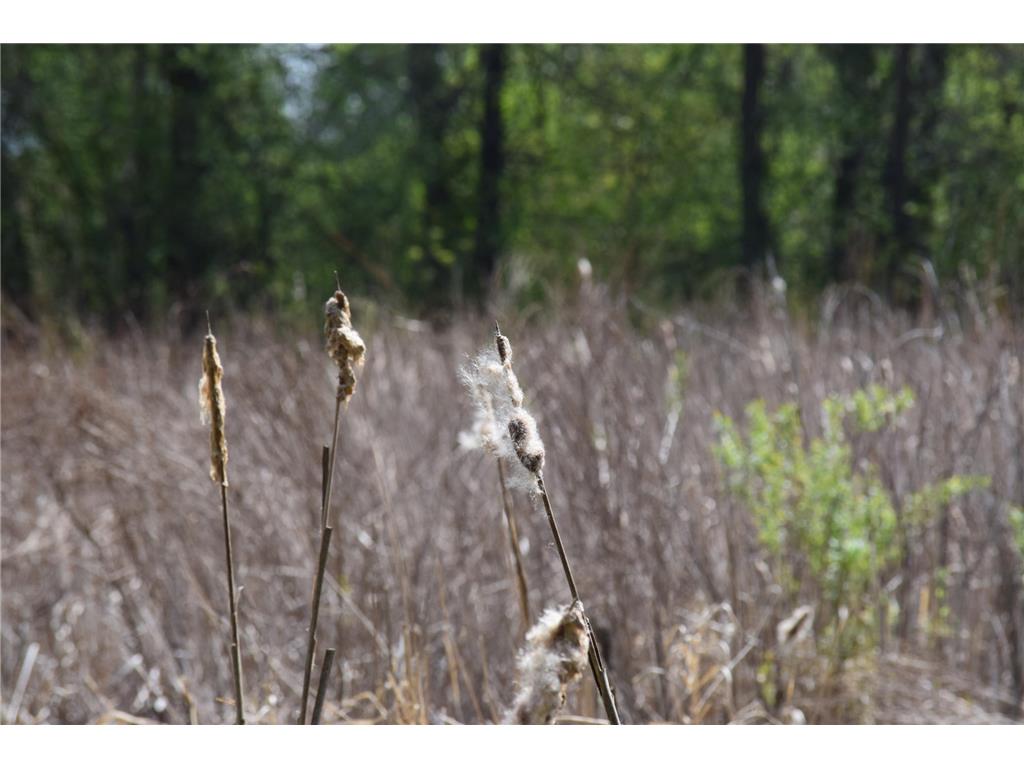 1405 Hamel Road Medina MN 55340 7013947 image7