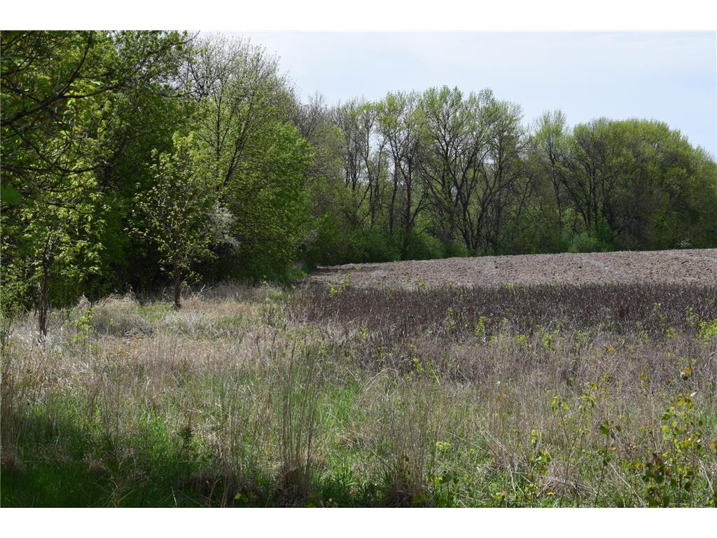 1405 Hamel Road Medina MN 55340 7013947 image8