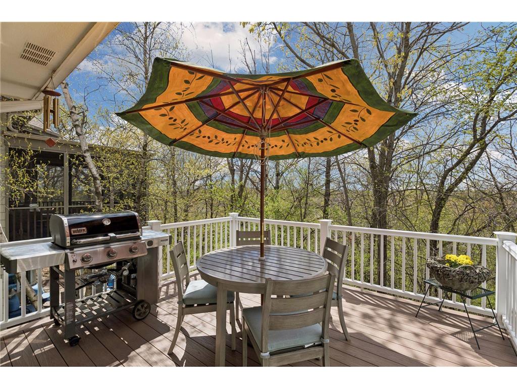 1405 Skyline Drive Golden Valley MN 55422 7058499 image14