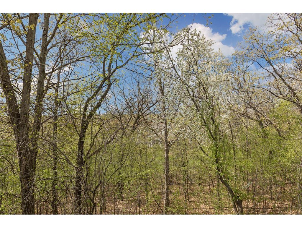 1405 Skyline Drive Golden Valley MN 55422 7058499 image15